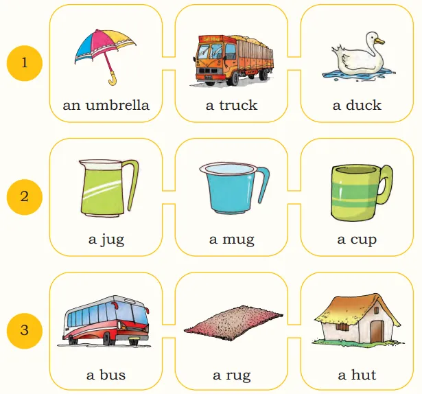 Words to learn vowels- umbrella, truck, duck, jug, mug, cup, bus, rug, hut.