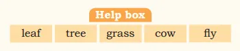 Help Box: leaf, tree, grass, cow, fly from chapter My name