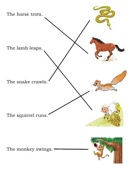 match the animal answer