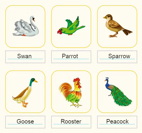 Bird names solution - swan, parrot, sparrow, goose, rooster and peacock