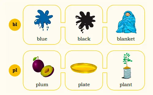 blue, black, blanket, plum, plate and plant from chapter My name